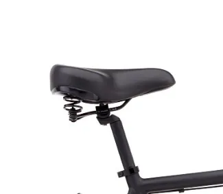 Electra Loft 7i Step